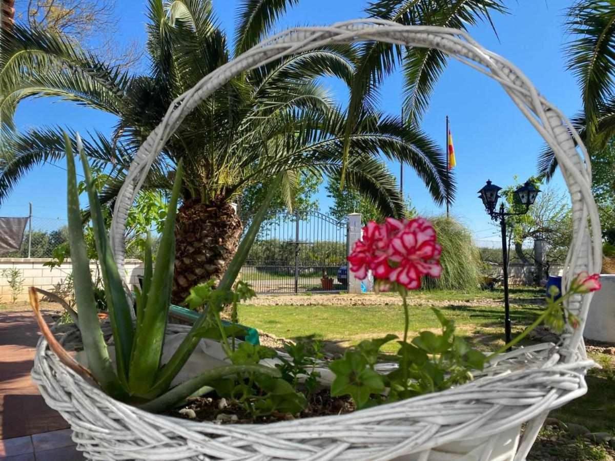 בדאחוז Hotel Rural Villa Torreaguila מראה חיצוני תמונה