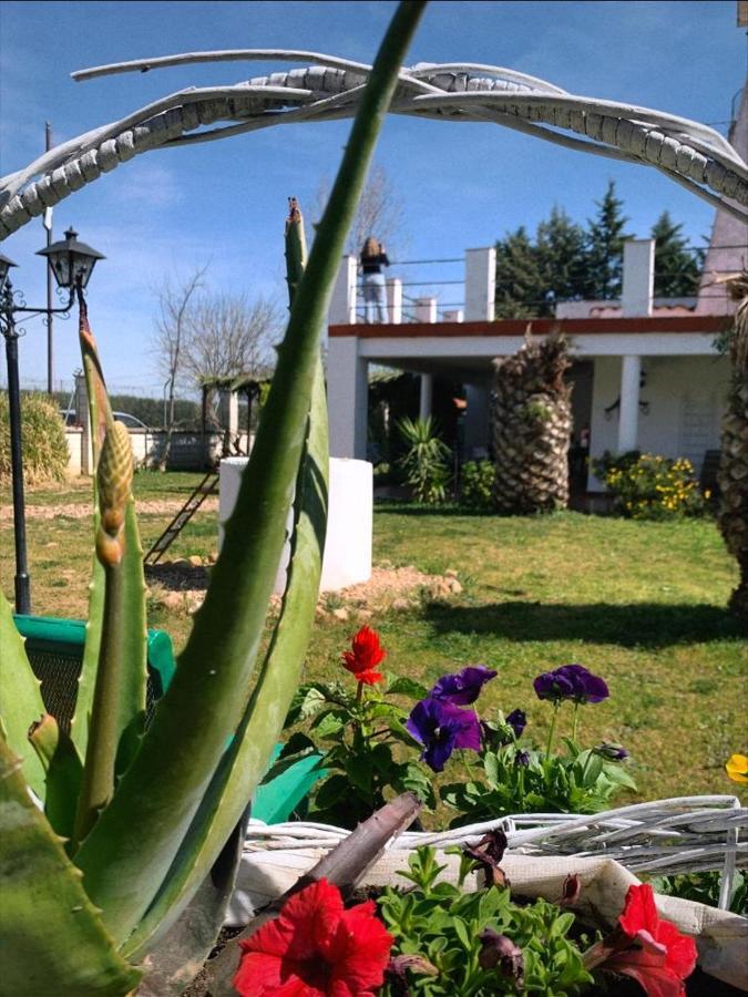בדאחוז Hotel Rural Villa Torreaguila מראה חיצוני תמונה